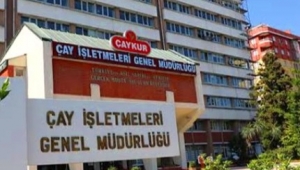 ÇAYKUR'DAN ÜRETİCİLERE YAŞ ÇAY FİYATI UYARISI GELDİ