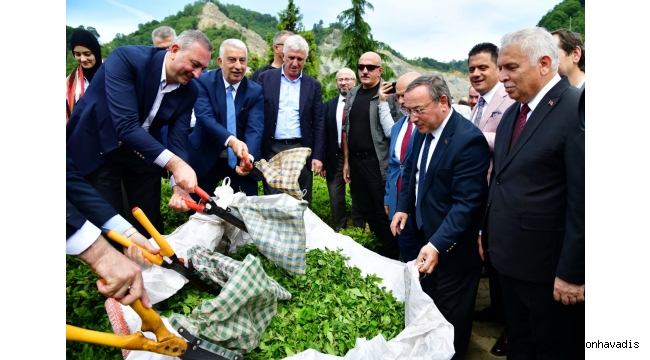 ÇAYKUR’DAN ÜST ÜSTE 3. YILDA DA KAR