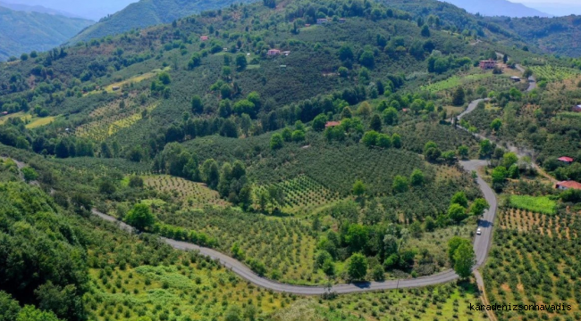Ordu'dan Samsun'a bağlantı sağlayan yolda son düzlük