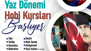 Ücretsiz kurslar 14 alanda