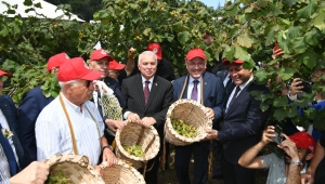 BAŞKAN GENÇ’TEN FINDIKTA KALİTE VE VERİM ÇAĞRISI