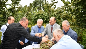 BAŞKAN VEKİLİ KANCA: “FINDIKTA VERİMİ ARTIRACAK PROJELERİN DESTEKÇİSİYİZ”