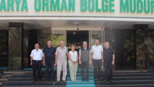 Bir Fidan da Bizden” Diyen Trabzonlular Derneği, Ağaçlandırma İçin Harekete Geçti