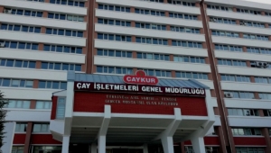 ÇAYKUR'DAN 2. SÜRGÜN YAŞ ÇAY KAMPANYASI TAMAMLANDI AÇIKLAMASI