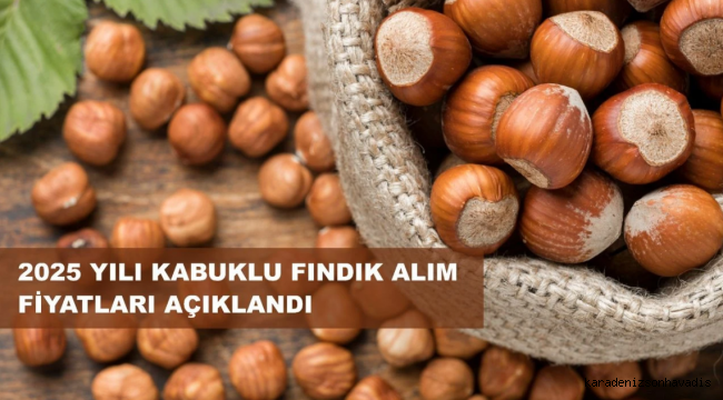 Fındık Taban Fiyatı Açıklandı; Fiyat 195 Lira...