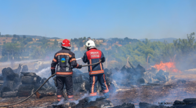 Büyükşehir'den acı gerçeği gözler önüne seren istatistik