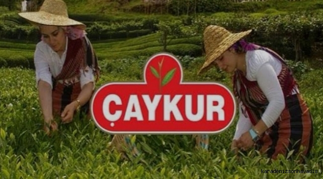 ÇAYKUR'dan 3. sürgün yaş çay alımları açıklaması