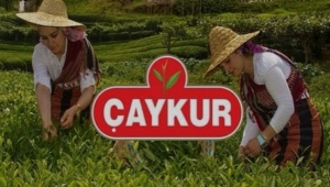 ÇAYKUR'dan 3. sürgün yaş çay alımları açıklaması