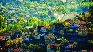 Türkiye Kültür Yolu Festivali 2026’da Sakarya’d