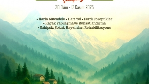 3. RİZE KÖY MUHTARLARI ÇALIŞTAYI 30 EKİM'DE BAŞLIYOR 