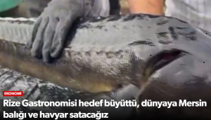 Rize Gastronomisi hedef büyüttü, dünyaya Mersin balığı ve havyar satacağız