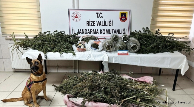 RİZE İL JANDARMA KOMUTANLIĞINDAN BAŞARILI OPERASYONLAR