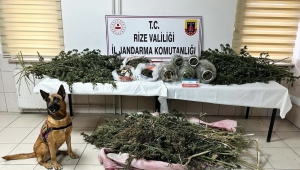 RİZE İL JANDARMA KOMUTANLIĞINDAN BAŞARILI OPERASYONLAR 
