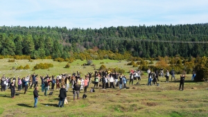Doğaseverlerin bu haftaki rotası Karagöl ve Sultanpınarı Yaylası oldu