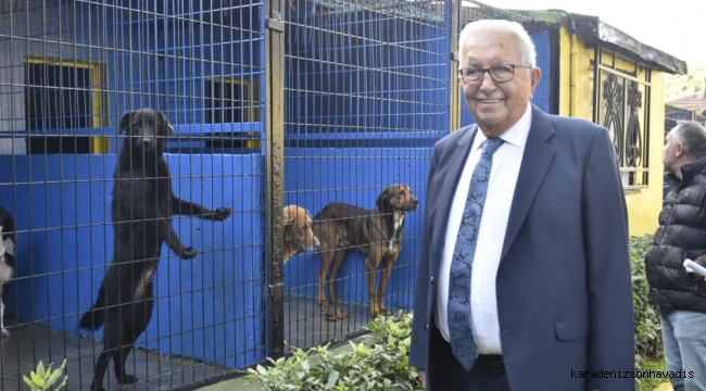 Kdz. Ereğli Belediyesi, Sokak Hayvanları Barınma Evi’nin Kapasitesini Artırıyor