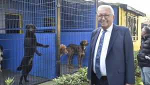 Kdz. Ereğli Belediyesi, Sokak Hayvanları Barınma Evi’nin Kapasitesini Artırıyor
