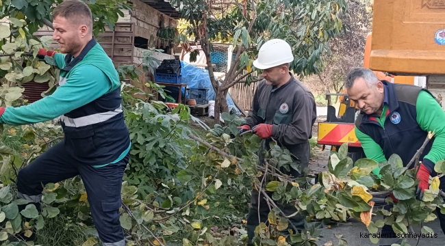 Trabzon'da Büyükşehir'den sonbahar temizliği başladı!