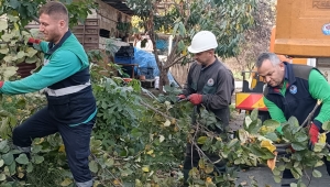 Trabzon'da Büyükşehir'den sonbahar temizliği başladı!