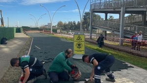 Büyükşehir sahildeki yürüyüş yolunu yenileniyor
