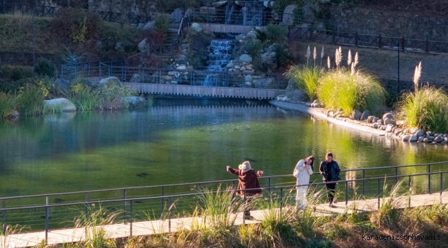RİZE ISIRLIK'TA SONBAHAR RENKLERİ VE GÖL MANZARASI ZİYARETÇİLERİ KARŞILIYOR