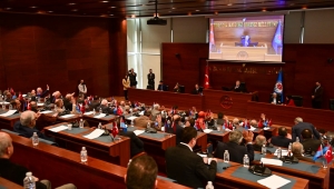 TRABZON’DA SOKAK HAYVANLARI İÇİN DÜZENLEME