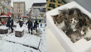 Belediye emekçileri yoğun kar yağışına karşı seferber oldu