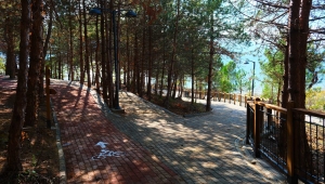 Sapanca Gölü kıyısında ‘huzur veren’ doğa projesi kapılarını açtı