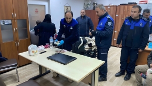 Dilencilik parasını çocuk bezine sakladılar