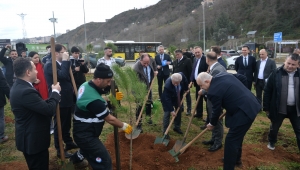 FİDANLAR MARATON ANISINA TOPRAKLA BULUŞTU