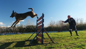 Reina, Ateş, Google ve Labrador en zor anda ‘umut’ olmak için hep hazır kıta