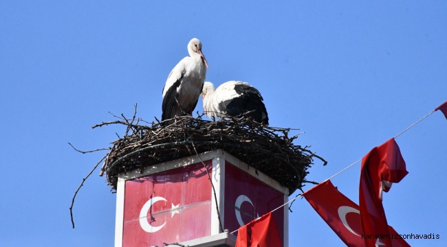 Can ve Canan Leylek Yeniden İznik’te