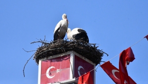 Can ve Canan Leylek Yeniden İznik’te