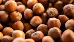 Fındık ihracatında 6 aylık gelir 1,17 milyar doları aştı