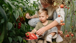 Tarım atölyesinde toprak kaşiflere göreve başlayacak