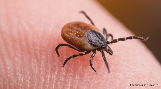 KKKA şüphesi: 21 yaşındaki genç hayatını kaybetti