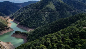 Yaz öncesi ormanlık alanlara giriş yasağı başladı