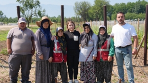 ATA TOHUMU ÜRETİMİ BÜYÜYOR