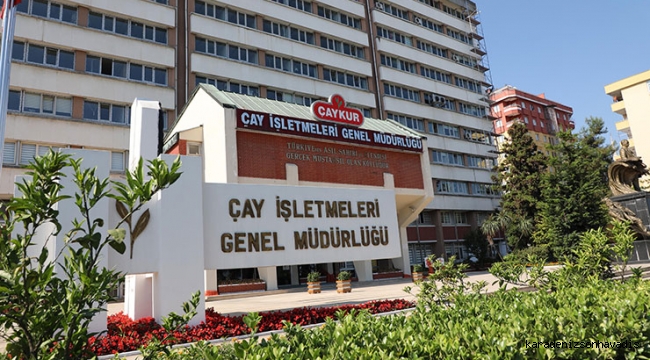 ÇAYKUR BU GÜNE KADAR REKOR DÜZEYDE 148 BİN TON YAŞ ÇAY ALIMI GERÇEKLEŞTİRDİK