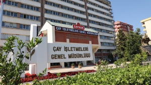ÇAYKUR BU GÜNE KADAR REKOR DÜZEYDE 148 BİN TON YAŞ ÇAY ALIMI GERÇEKLEŞTİRDİK