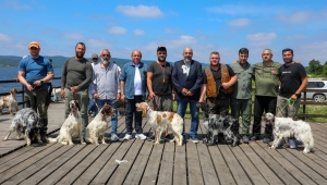 Ferizli’de Geleneksel Av Köpekleri Yarışması Büyük Akgöl’de Gerçekleştirildi