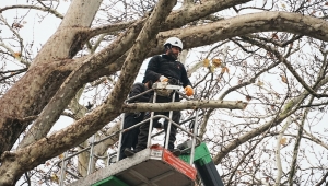 PARK BAHÇELER, FAALİYET RAPORUNU PAYLAŞTI