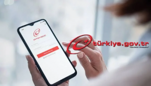 e-Devlet'te en çok kullanılan hizmetler SGK'ya ait