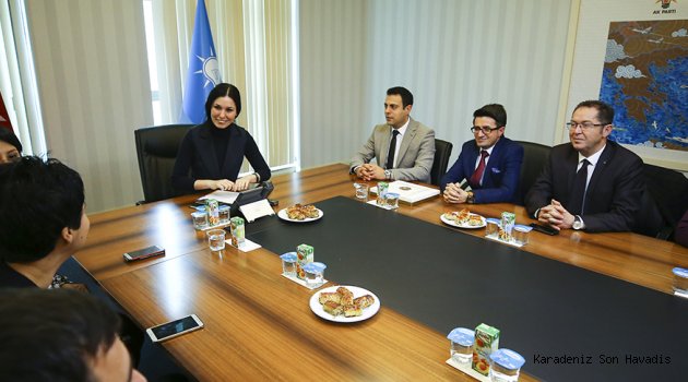 Karaaslan, Çevre Mühendisleri Odası Heyetini Kabul Etti
