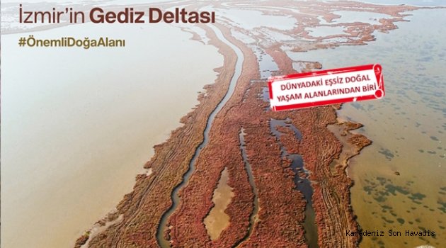 Bilim İnsanlarından İzmir'in Gediz Deltası için Çağrı