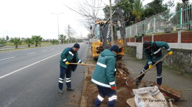 Büyükşehir Belediyesi ağaçlandırma çalışmalarını sürdürüyor