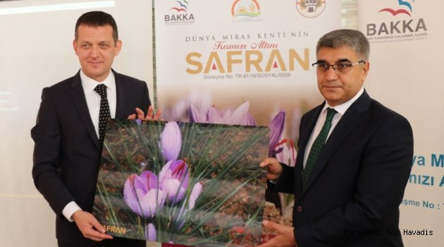 “Dünya Miras Kenti'nin Kırmızı Altını Safran" Projesi Tamamlandı