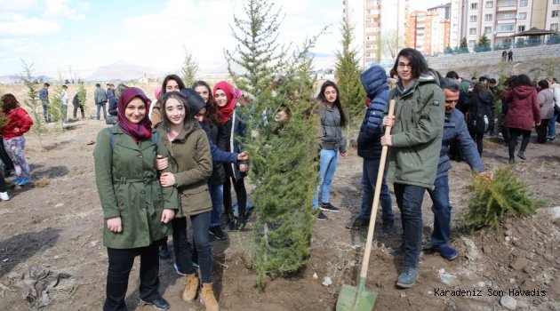 İlk Etapta 10.000 Çam Fidanı Toprakla Buluşacak