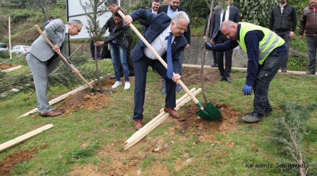 RİZE BELEDİYESİ’NDEN AFRİN ŞEHİTLERİ ANISINA ORMAN