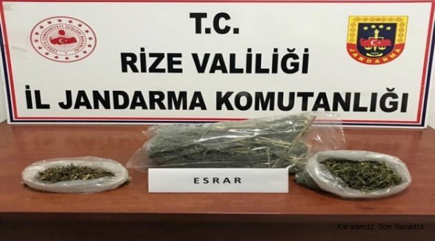 Rize’de Jandarmadan Operasyon